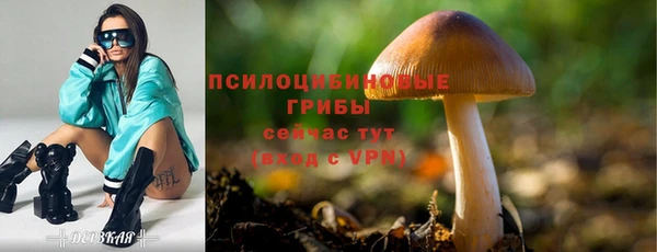 прущая мука Нязепетровск
