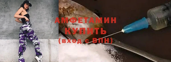 твердый Няндома