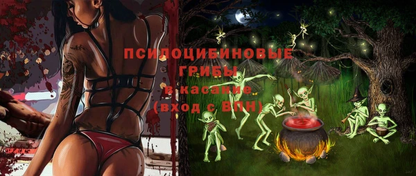 твердый Няндома