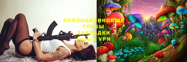 твердый Няндома