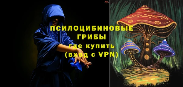 твердый Няндома