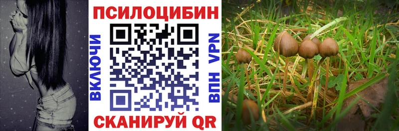 Псилоцибиновые грибы мицелий  гидра   Остров  что такое  